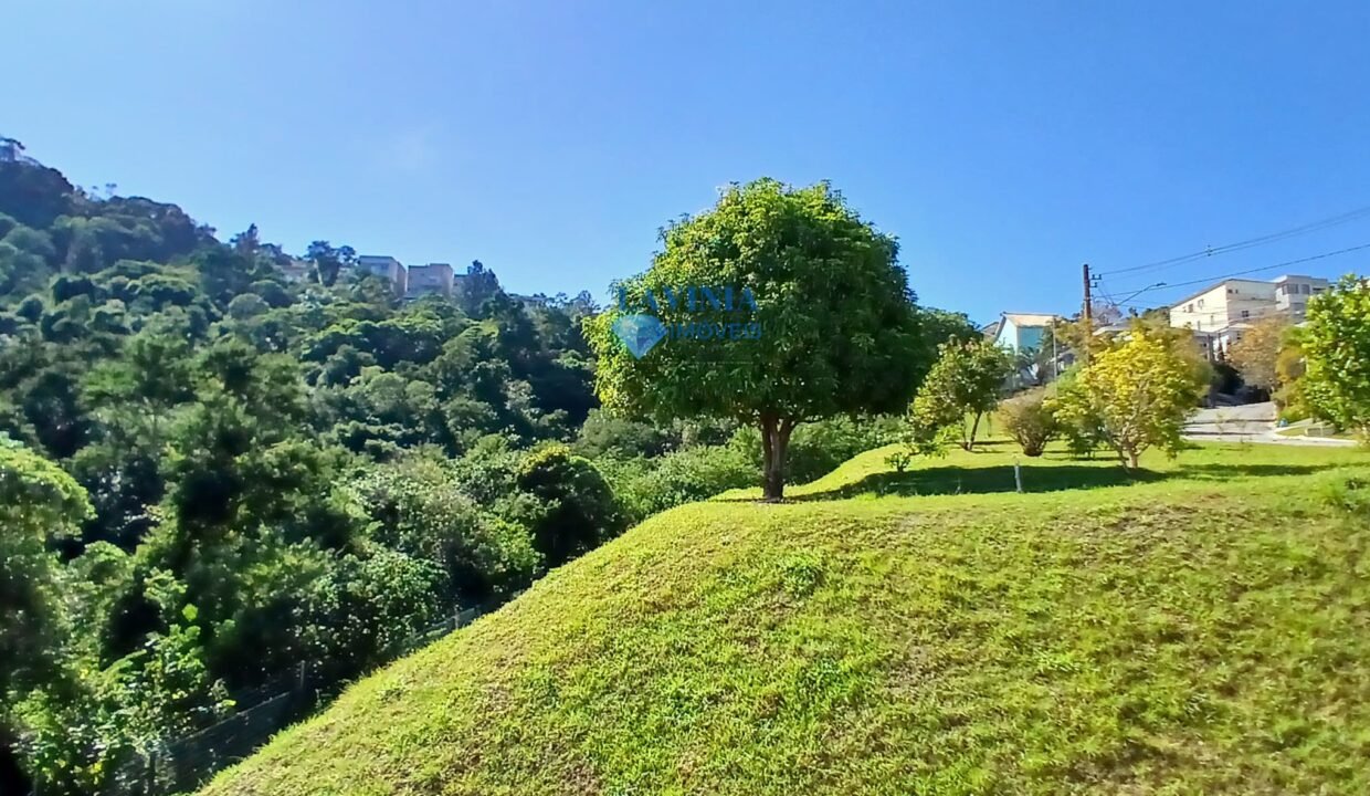 WhatsApp Image 2026-02-06 at 17.56.48