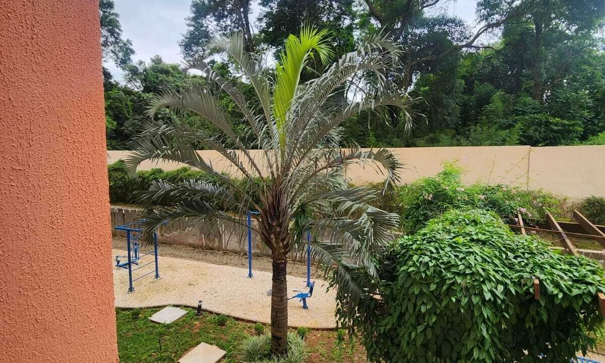 WhatsApp Image 2026-03-22 at 10.52.59