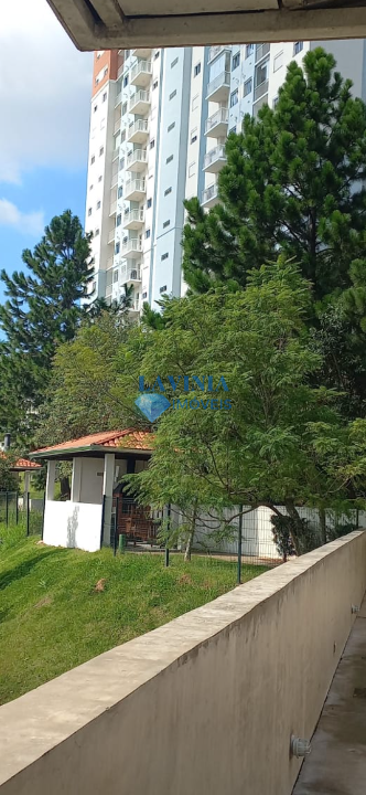 Captura de tela 2026-08-13 184619
